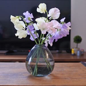 &flowerのお花