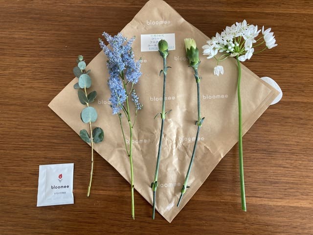 bloomeeのお花(コワニー、アスチルベ、カーネーション、グリーン)
