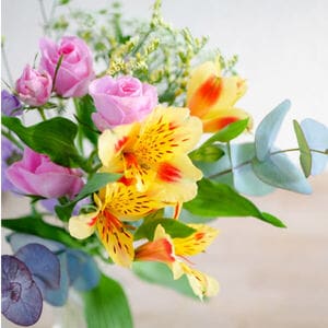 bloomeeリッチプランのお花