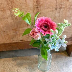 bloomeeレギュラープランのお花