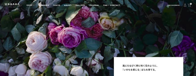 ローズユニバースの公式サイト画像