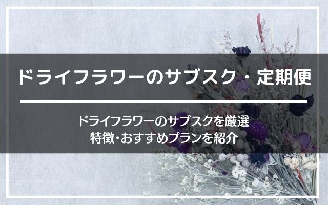 ドライフラワーのサブスク・定期便おすすめ5社を比較