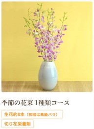 フラントリーブのお花(季節の花束コース)