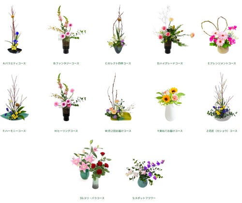 日本総合園芸のお花の定期便で届く切り花の画像