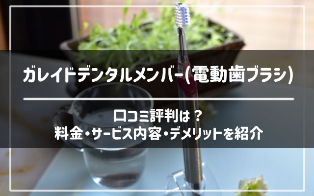 ガレイドデンタルメンバー 電動歯ブラシ の口コミ評判 デメリットは なすなーる