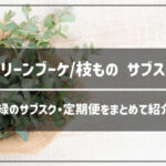 グリーンブーケ・枝もののサブスク・定期便