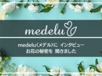 お花のサブスク 魔法の花瓶 の口コミ評判分析で分かったお得度 使い方や加盟店も紹介 サブスクひろば